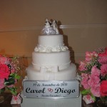 Carol e Diego 19/11/2011